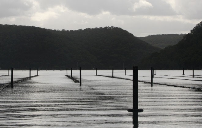 Oyster Beds © Powerboat-World.com http://www.powerboat-world.com